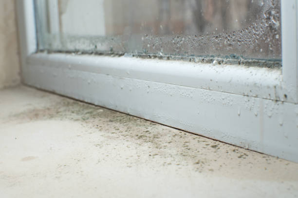 Best Commercial Mold Inspection  in Corona, CA